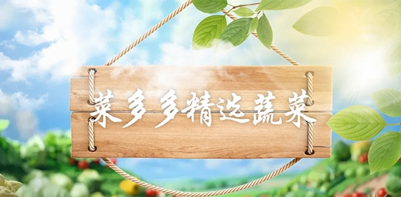从菜地鲜摘到餐桌盛宴，当季珍馐，尽享一步到“胃”的新鲜之旅！