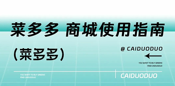 如何快速上手菜多多线上商城