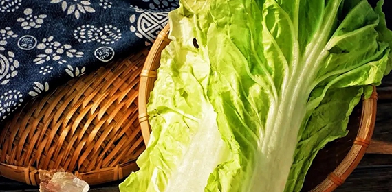 大白菜的营养价值和功效作用