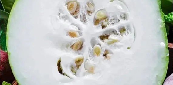 揭秘冬瓜：它蕴含的自然宝藏是什么？